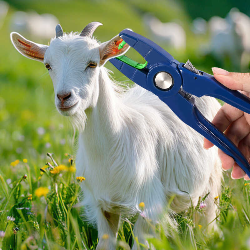 100pcs Integrated Sheep Ear Ta - Livestock Ear Tag recension och pris