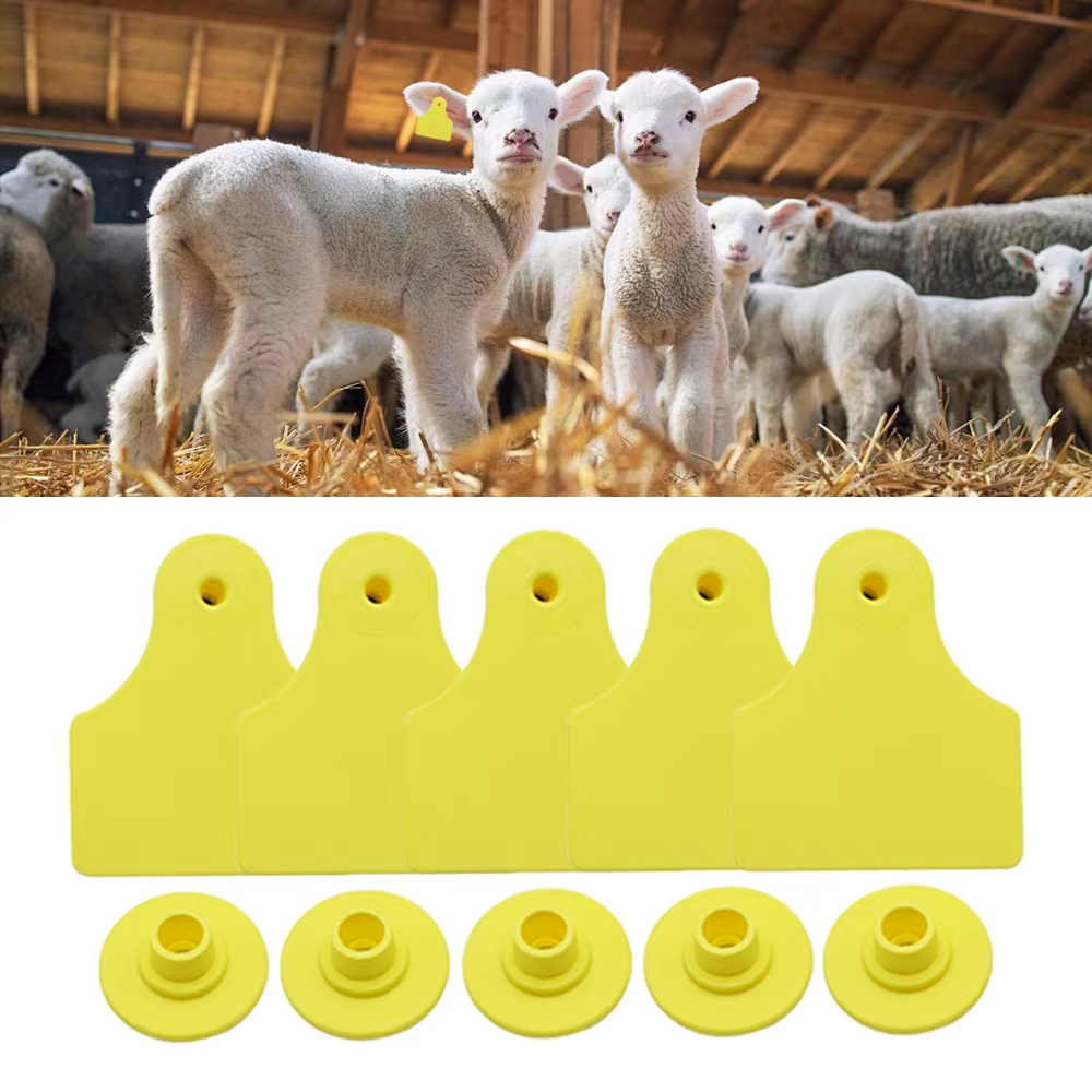 20 Pcs 40*50mm Goats Sheep Cat - Livestock Ear Tag recension och pris