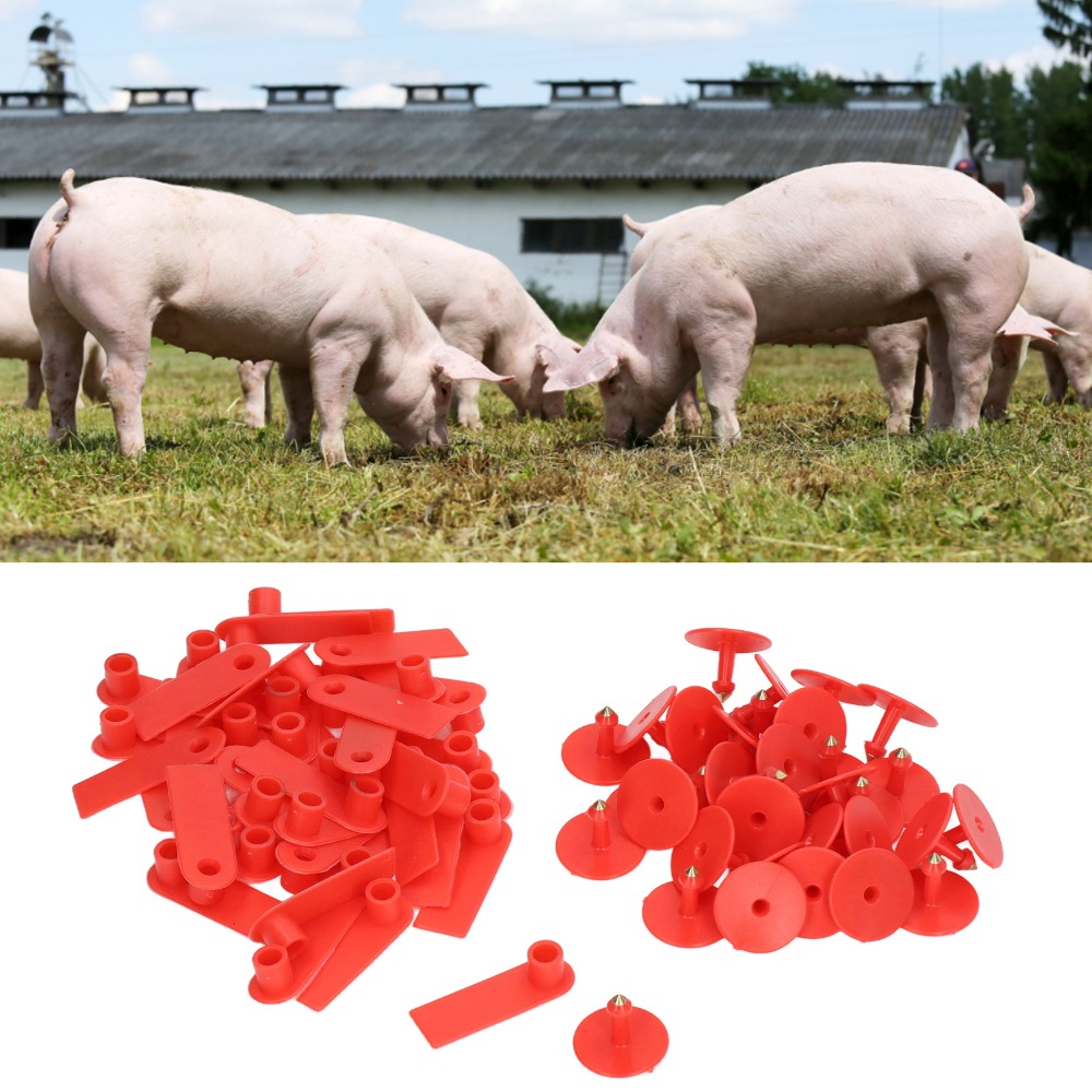 100Pcs Hand-writable Blank Liv - Livestock Ear Tag recension och pris