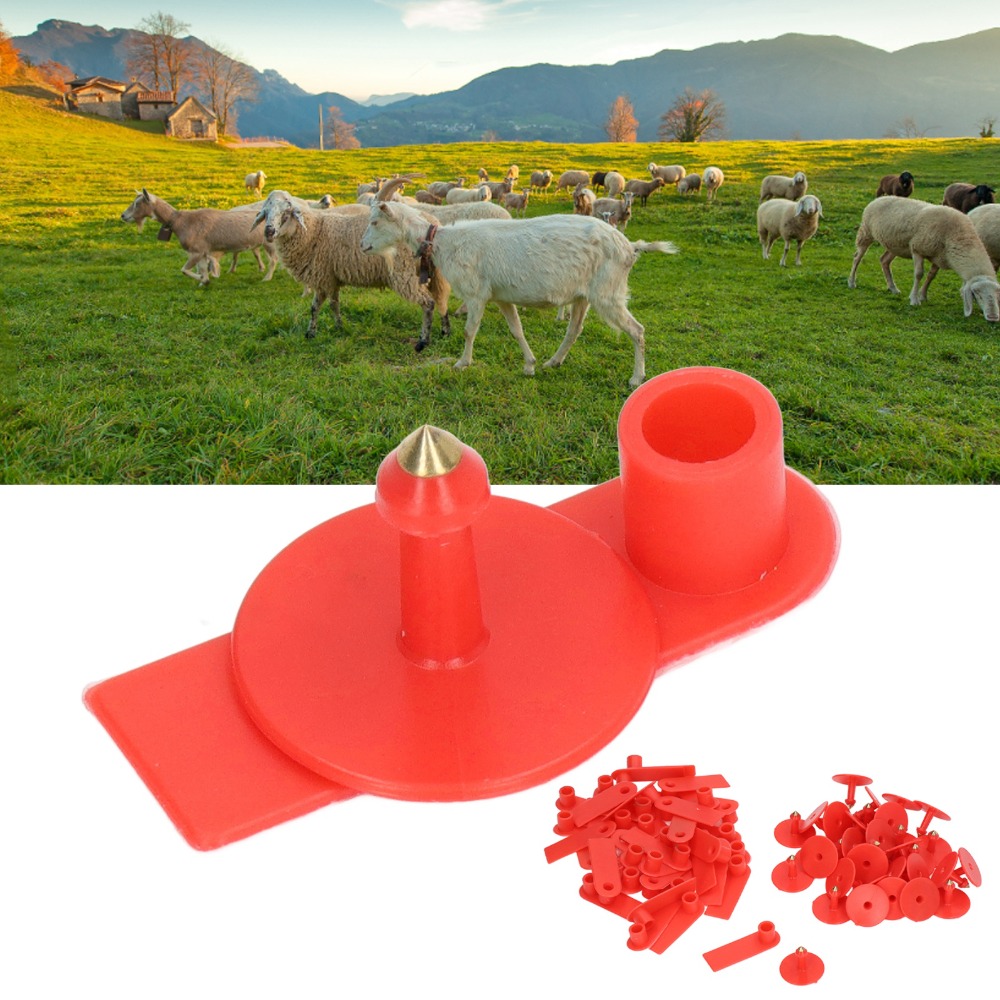 100Pcs Hand-writable Blank Liv - Livestock Ear Tag recension och pris