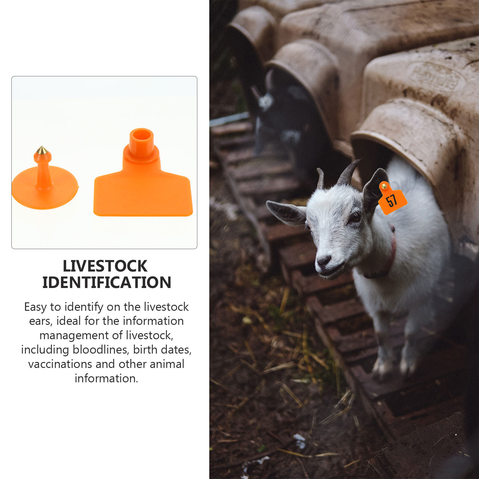 100Pcs Animal Ear Tags Plastic - Livestock Ear Tag recension och pris