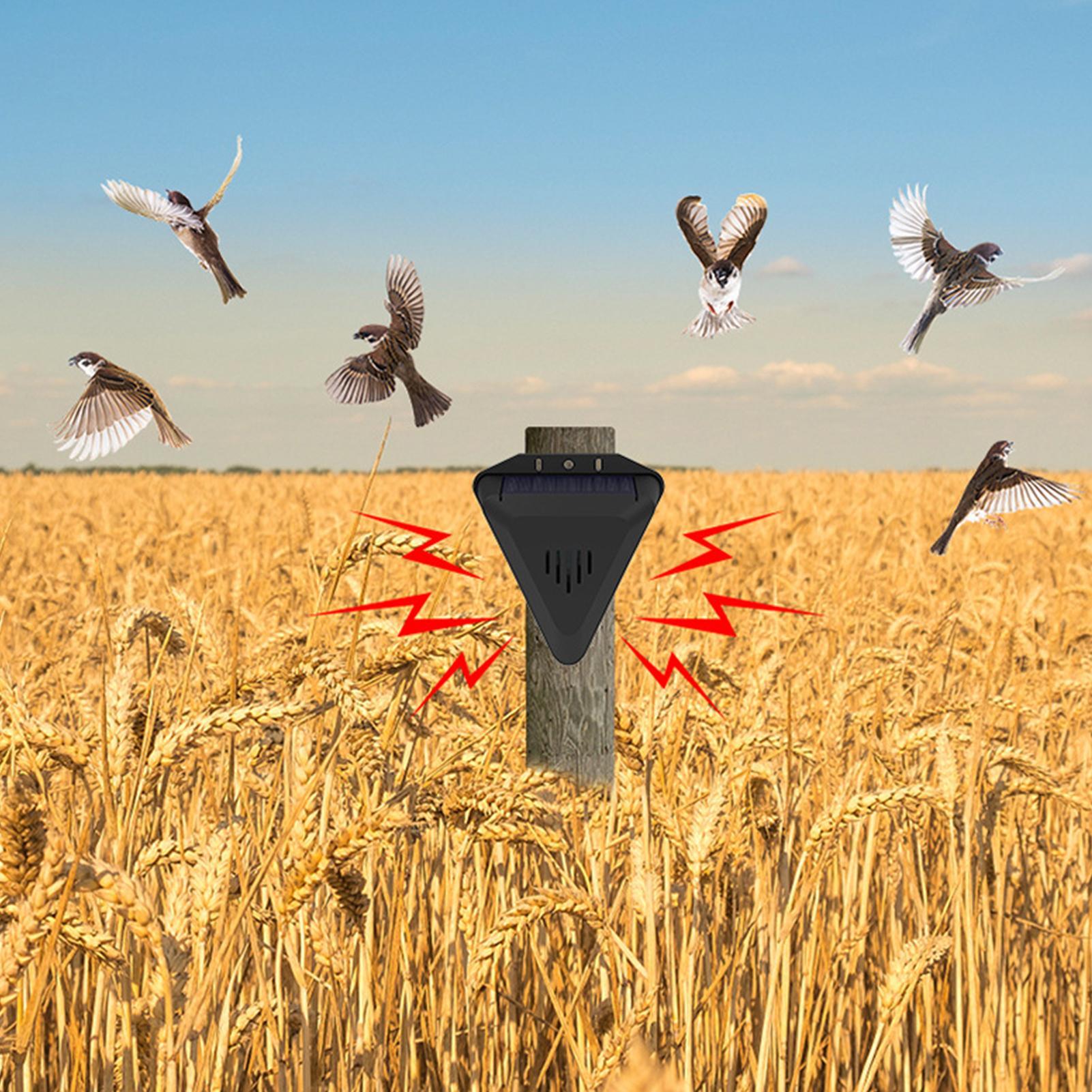 Waterproof Solar Bird Repeller - Solar Bird Scarer recension och pris